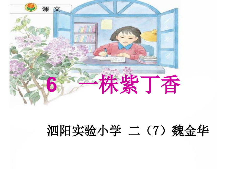 苏教版实验版二上6一株紫丁香.ppt_第1页