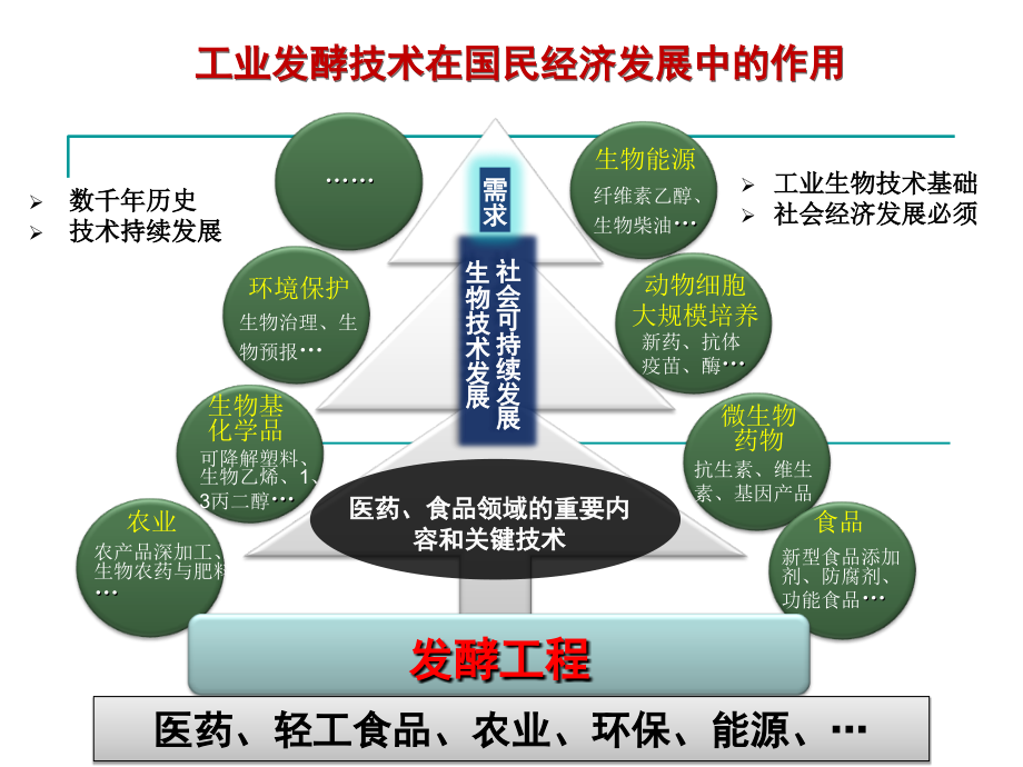 (简)发酵过程工程学研究及工艺装备新技术-(张嗣良).ppt_第2页