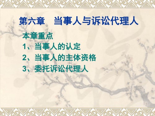 民事诉诉法第06章-当事人与诉讼代理人.ppt