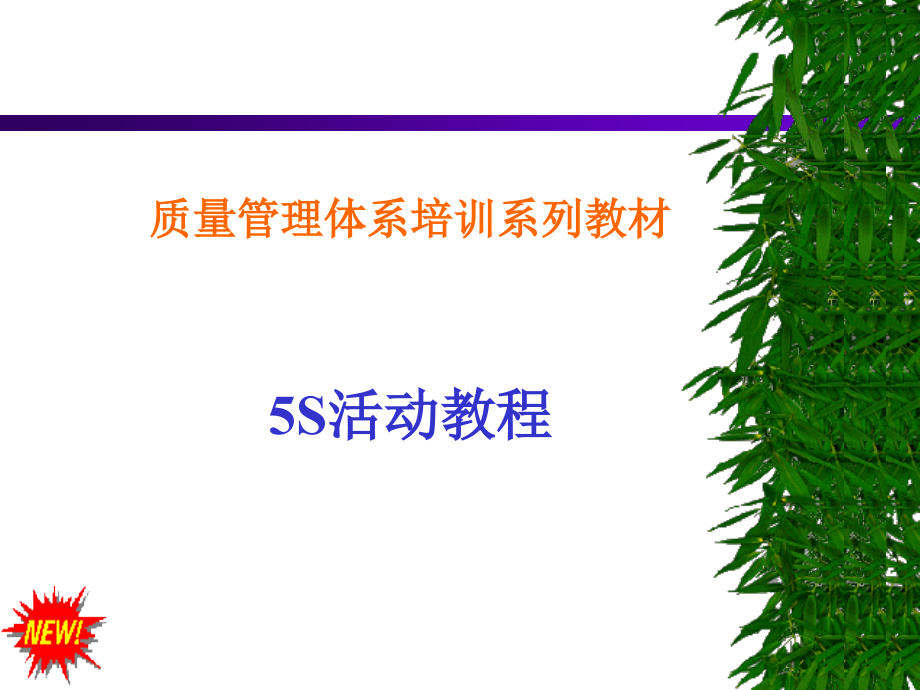 5S培训教材.ppt_第1页