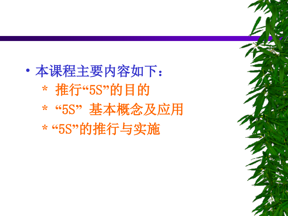 5S培训教材.ppt_第2页