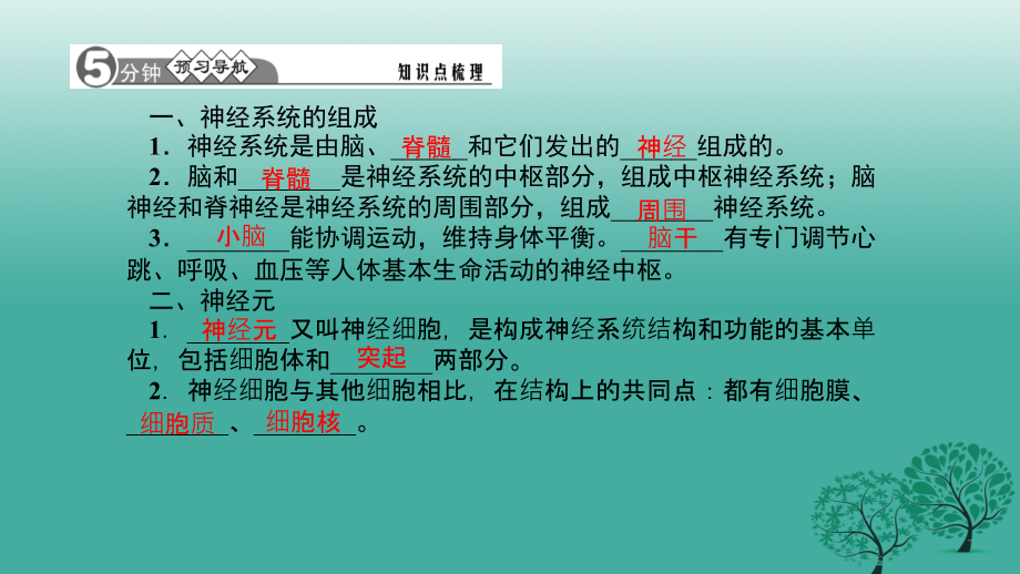 四清导航2017春七年级生物下册第六章第二节神经系统的组成.ppt_第2页
