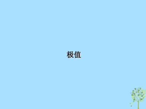 高考数学专题极值复习.ppt