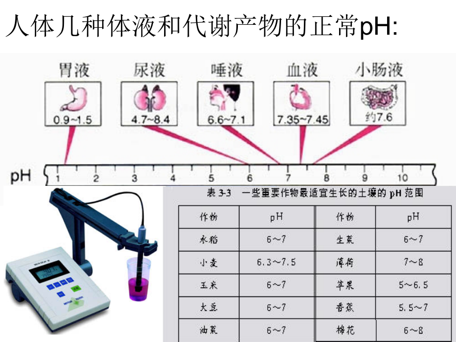 酸碱中和滴定(标准).ppt_第2页