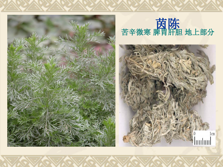 利湿退黄药.ppt_第2页