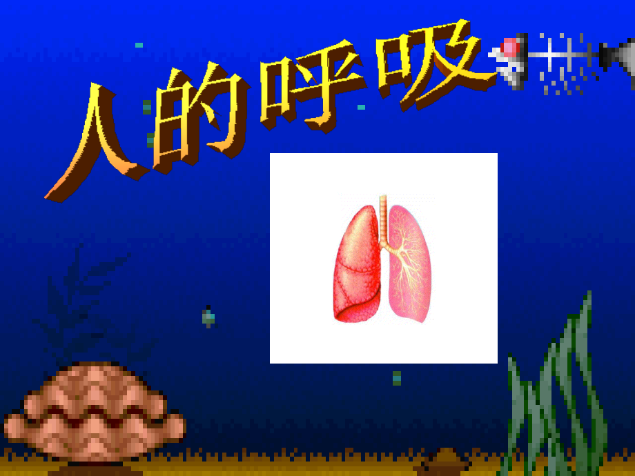 生物：第3章人体的呼吸复习(人教版七年级下).ppt_第1页