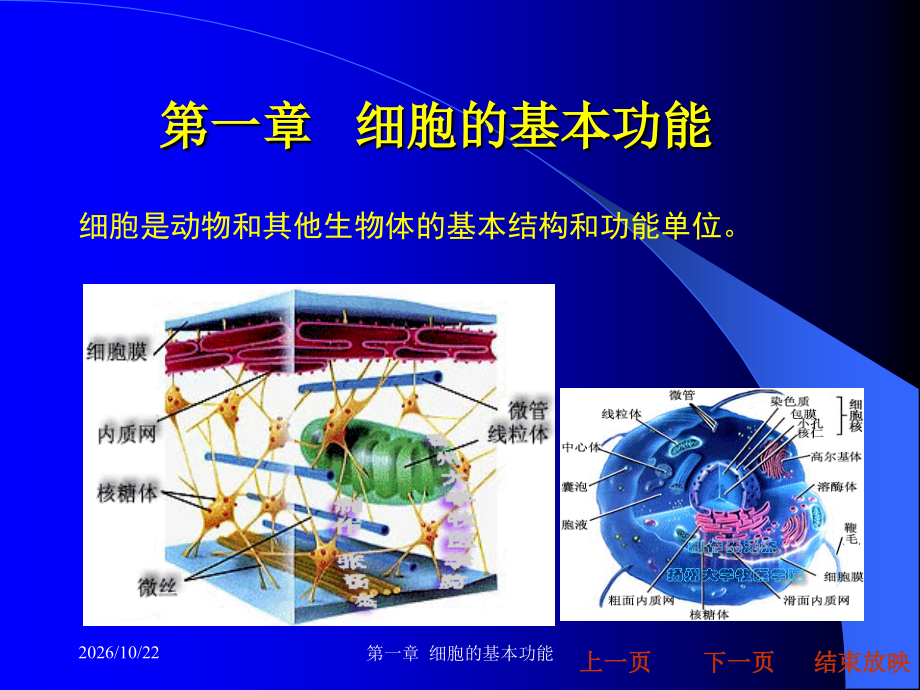 第一章--细胞的基本功能.ppt_第1页