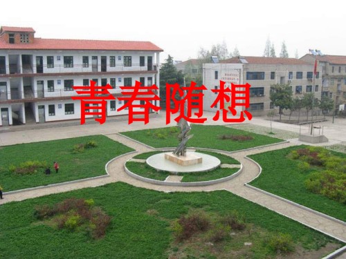 人教版语文九年级综合性学习《青春随想》.ppt