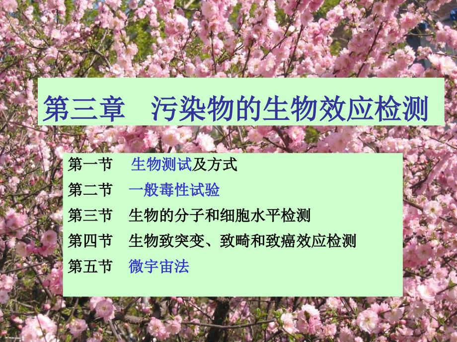 第三章---污染物的生物效应检测.ppt_第1页