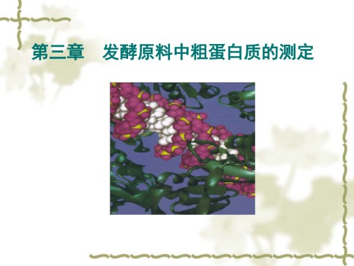 3发酵原料中粗蛋白质的测定.ppt