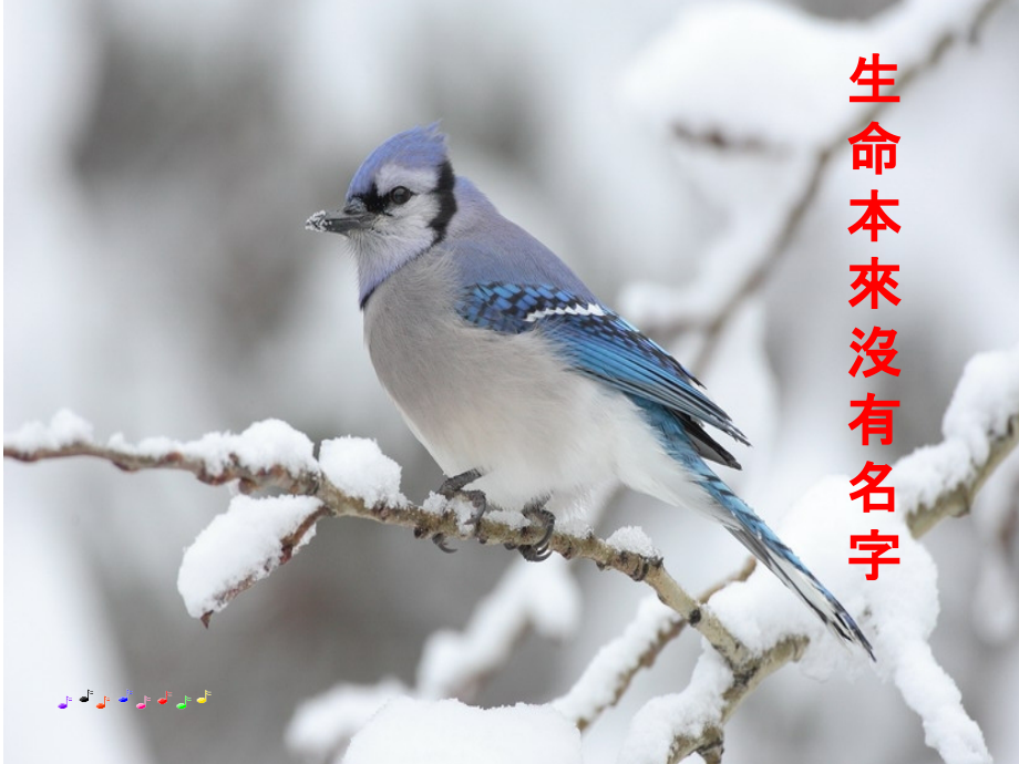 专题一-教育及高等教育概述-高等教育学-教学.ppt_第1页