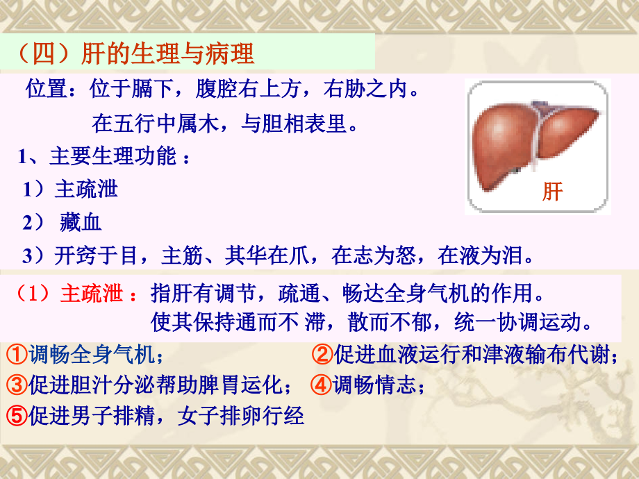 肝、肾、六腑.ppt_第2页