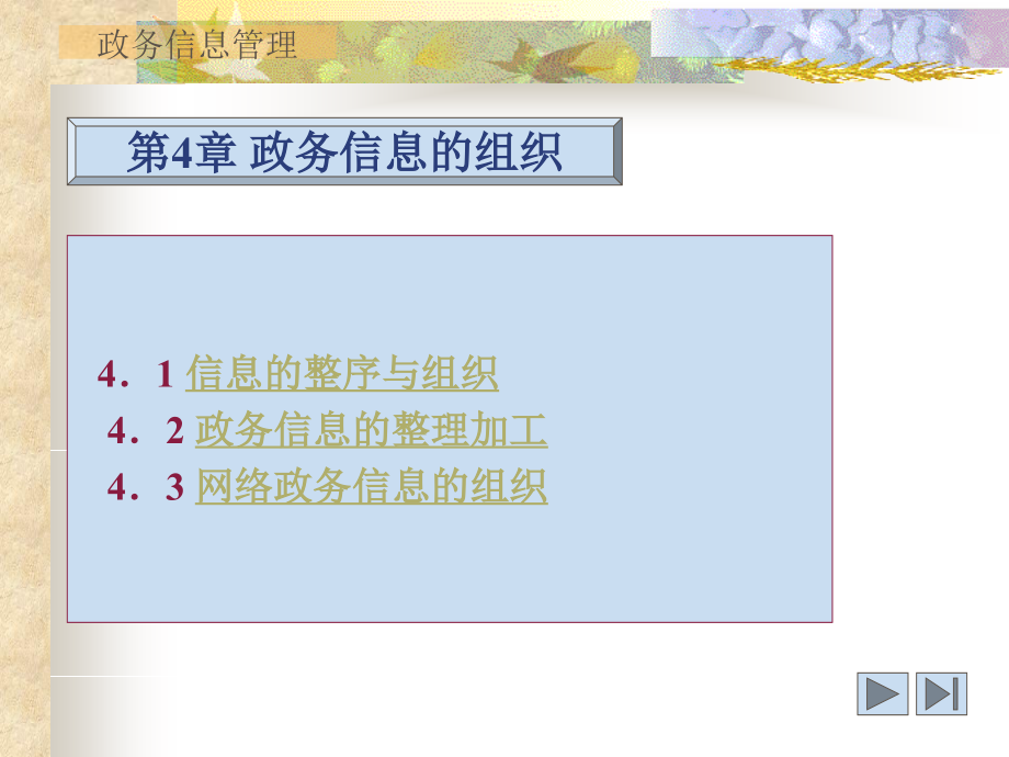 政务信息管理第4章-政务信息的组织.ppt_第1页
