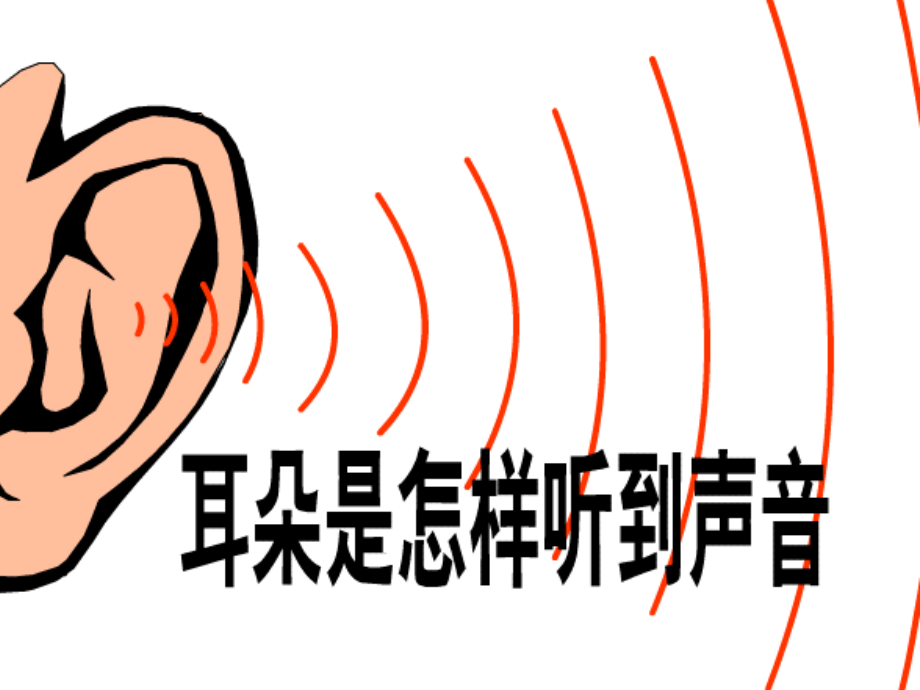 听觉的形成-冀教版.ppt_第1页
