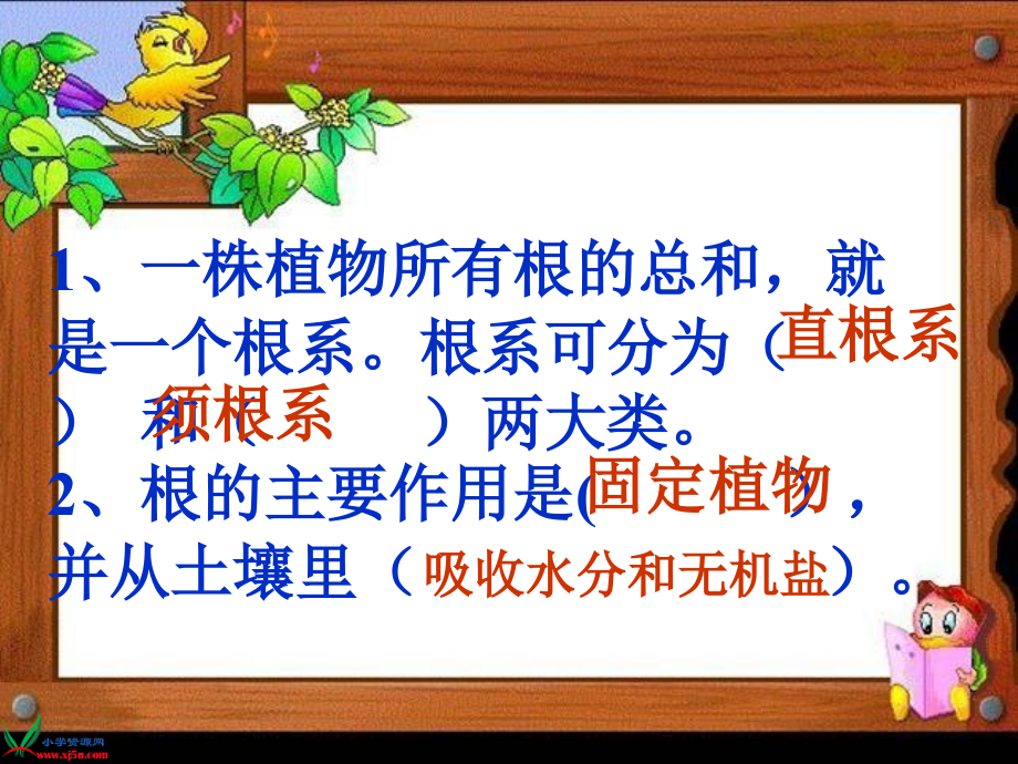 五年级上册科学.ppt_第1页