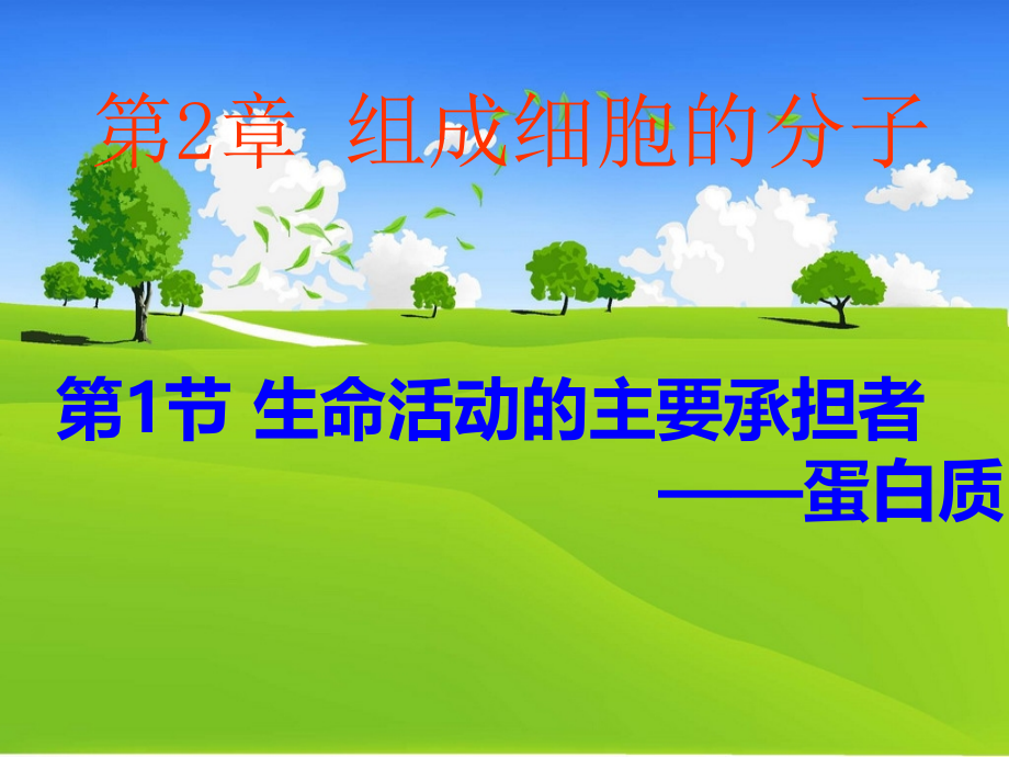 高一生物-蛋白质.ppt_第1页