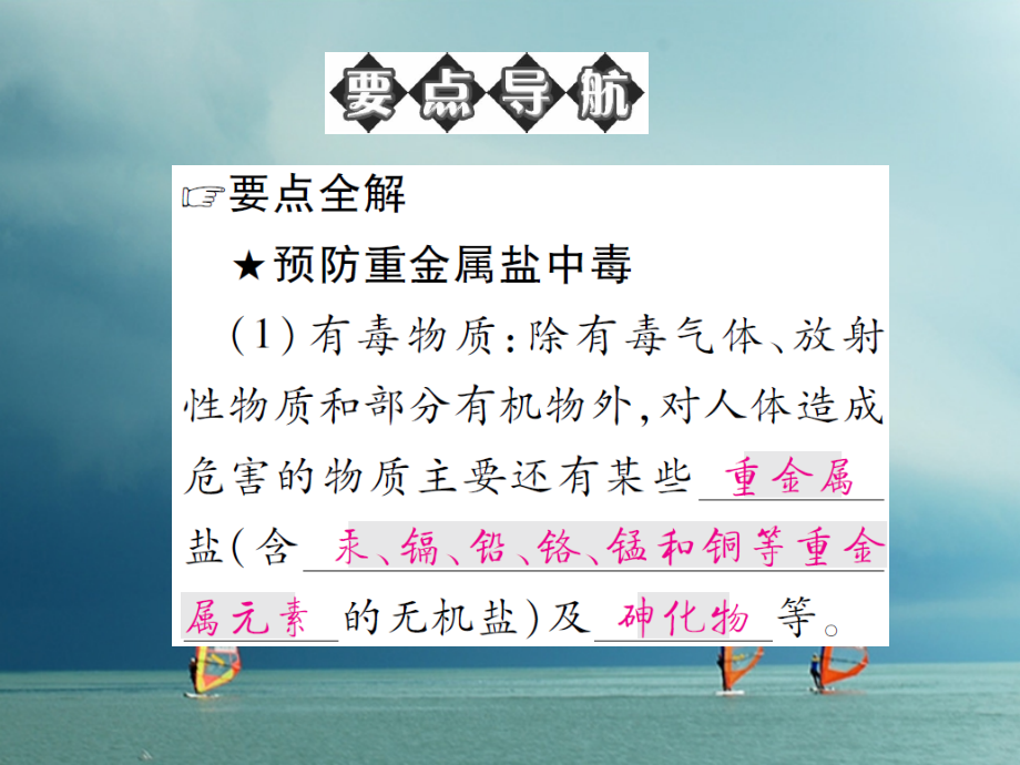九年级化学下册第十单元化学与健康第三节远离有毒物质鲁教版.ppt_第2页