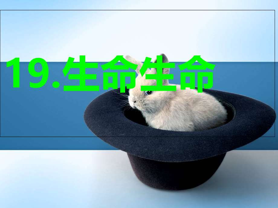 19[1].生命生命.ppt_第1页