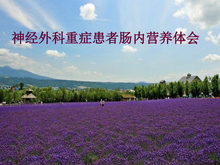 神经外科重症患者肠内营养体会.ppt_第1页