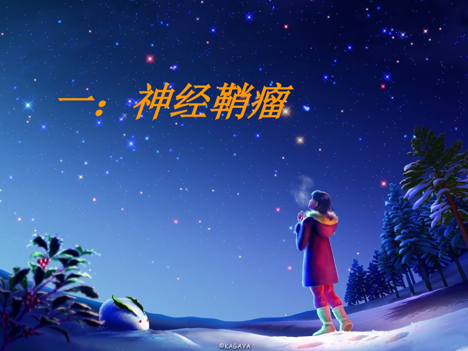 颈动脉体瘤及神经鞘瘤影像诊断.ppt_第2页
