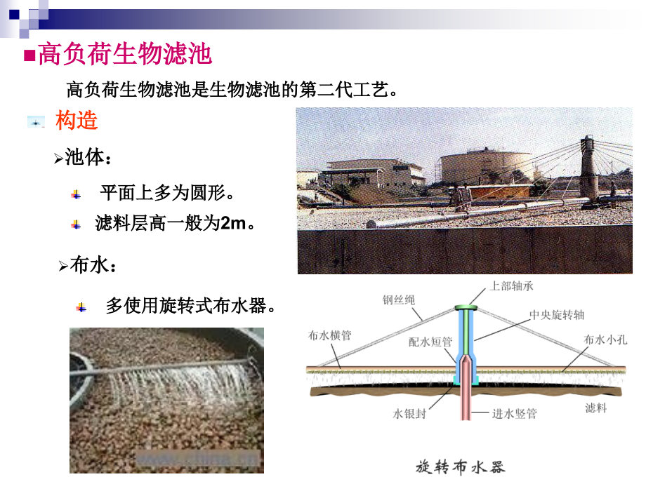 第3章-生物处理.ppt_第2页