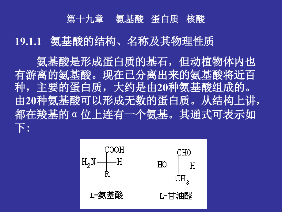 有机化学第十九章-氨基酸---蛋白质---核酸.ppt_第1页