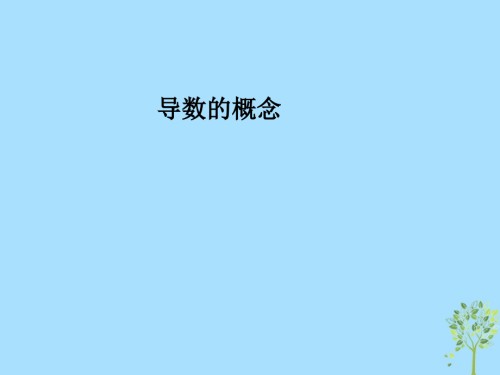 高考数学专题导数概念复习.ppt