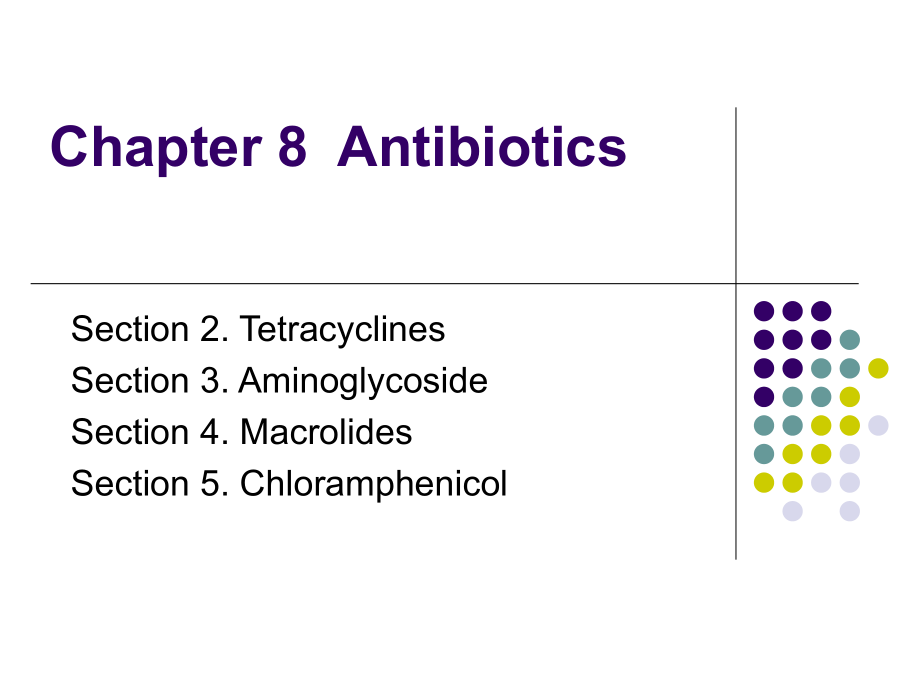四环素类、氨基糖苷类、大环类脂类和氯霉素类抗生素(英文)Antibiotics.ppt_第1页