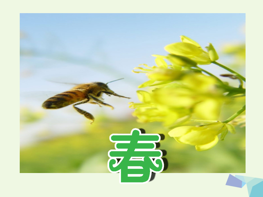 六年级科学上册四季更替.ppt_第2页