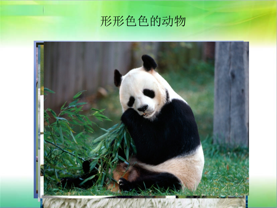 三年级科学第二单元1-3节.ppt_第1页