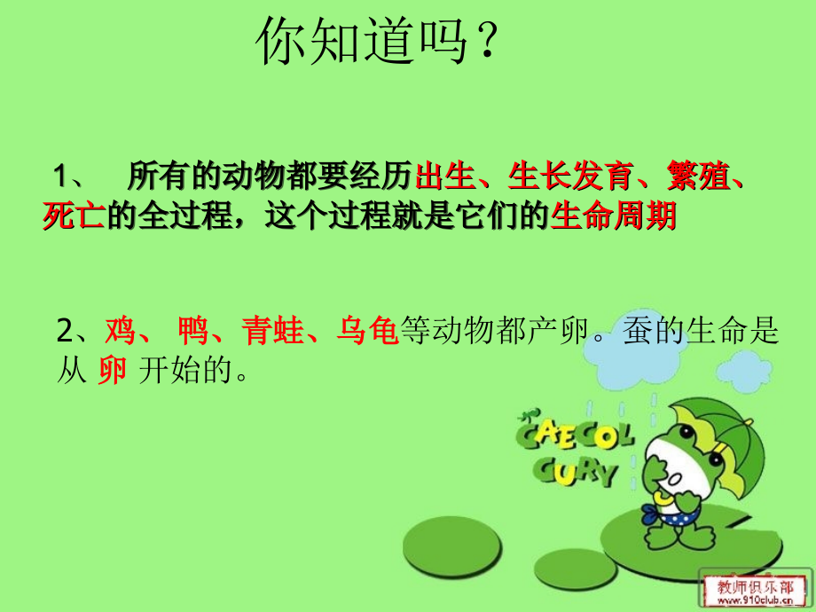 三年级科学第二单元1-3节.ppt_第2页