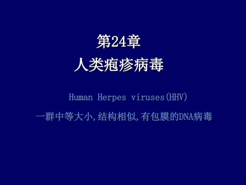 人类疱疹病毒-(HSV).ppt