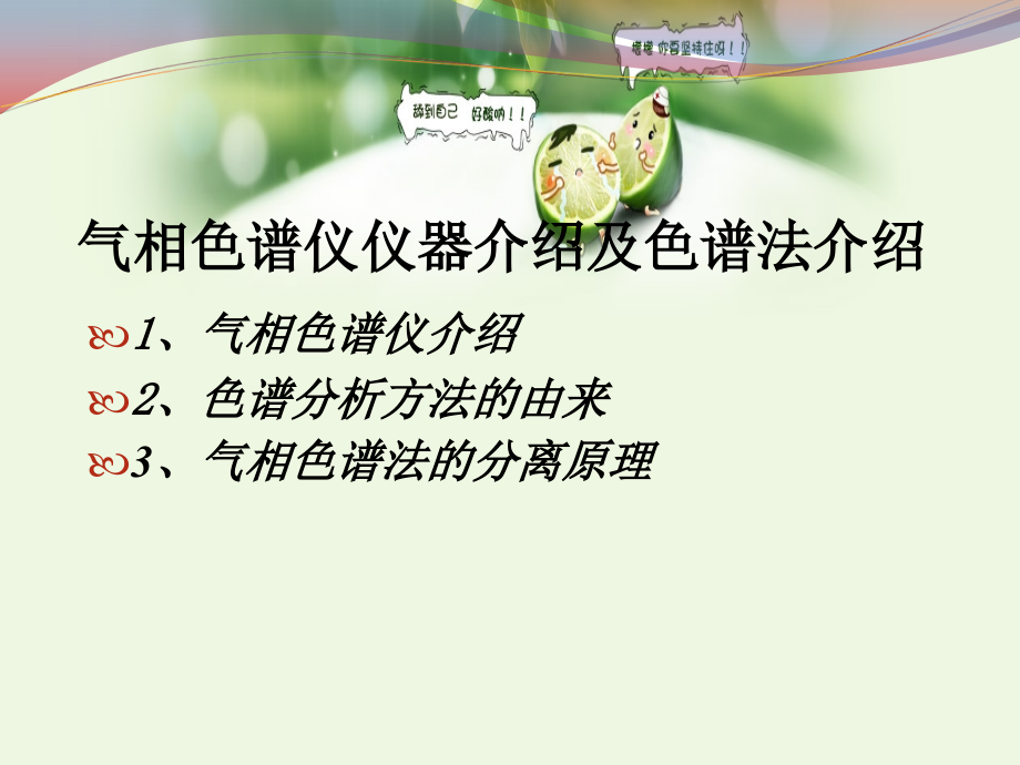 气相色谱仪仪器介绍及色谱法介绍.ppt_第1页