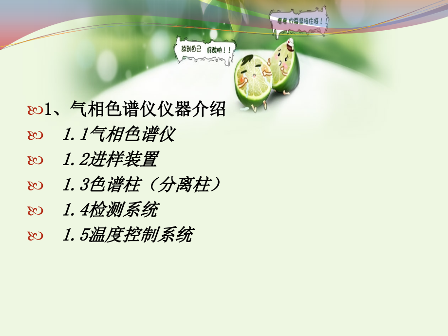 气相色谱仪仪器介绍及色谱法介绍.ppt_第2页