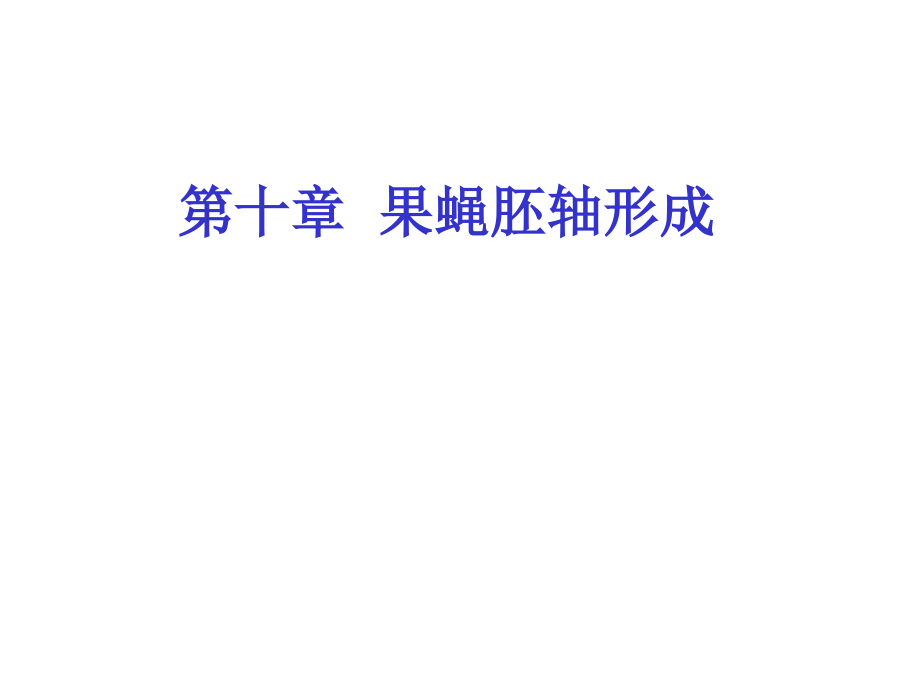 第十章果蝇胚轴形成.ppt_第1页
