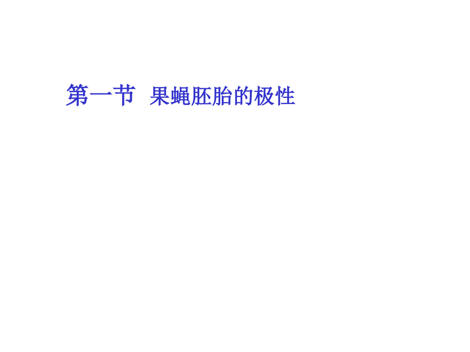 第十章果蝇胚轴形成.ppt_第2页
