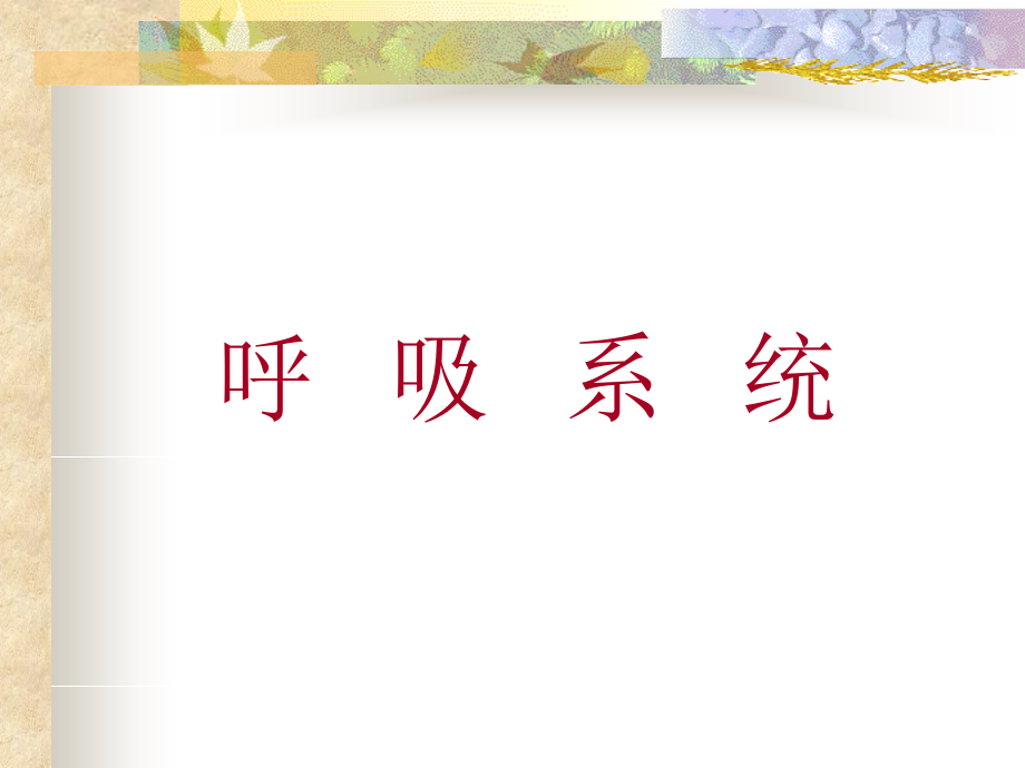 生理学考研--呼吸系统.ppt_第1页