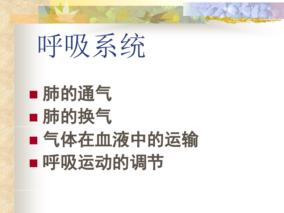 生理学考研--呼吸系统.ppt_第2页