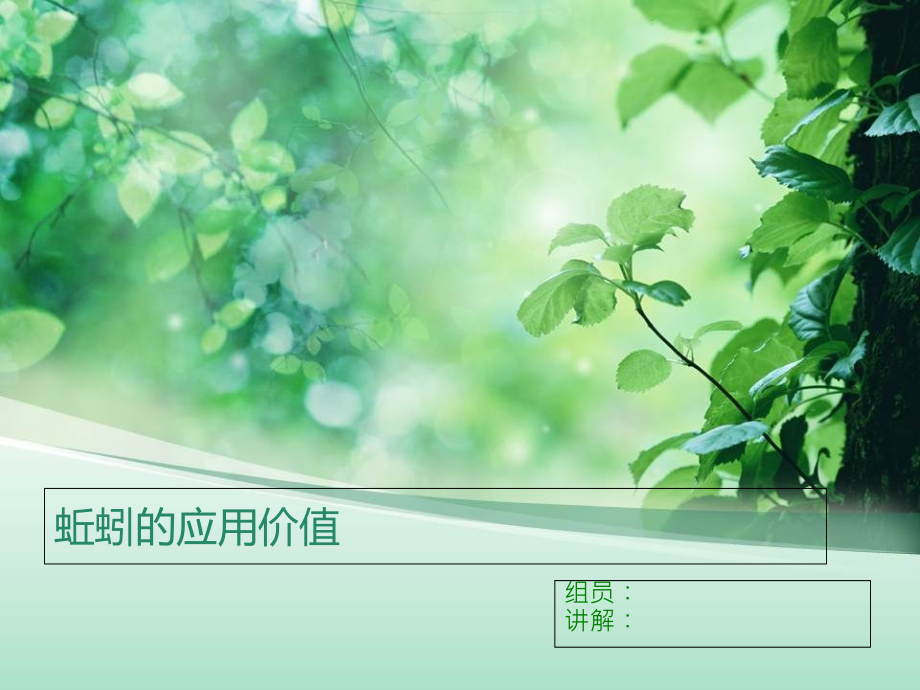蚯蚓的应用价值.ppt_第1页