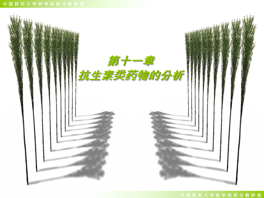 12.抗生素类药物的分析.ppt_第1页