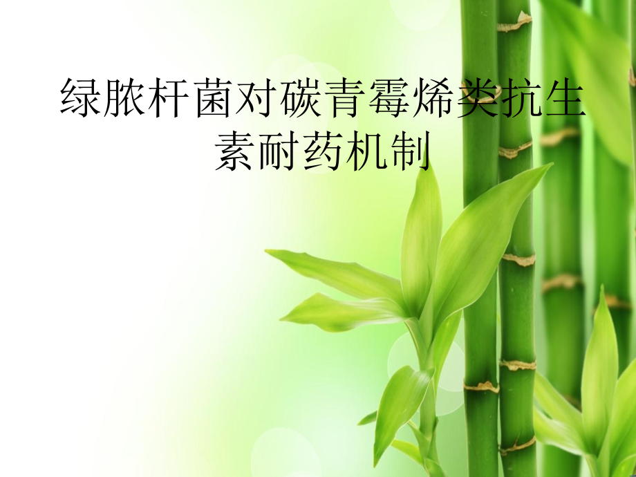 绿脓杆菌对碳青霉烯的耐药机制.ppt_第1页
