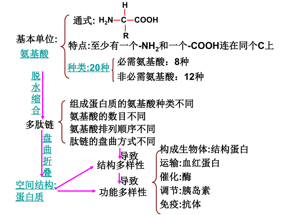 生物一轮复习-蛋白质--第二课时.ppt_第2页