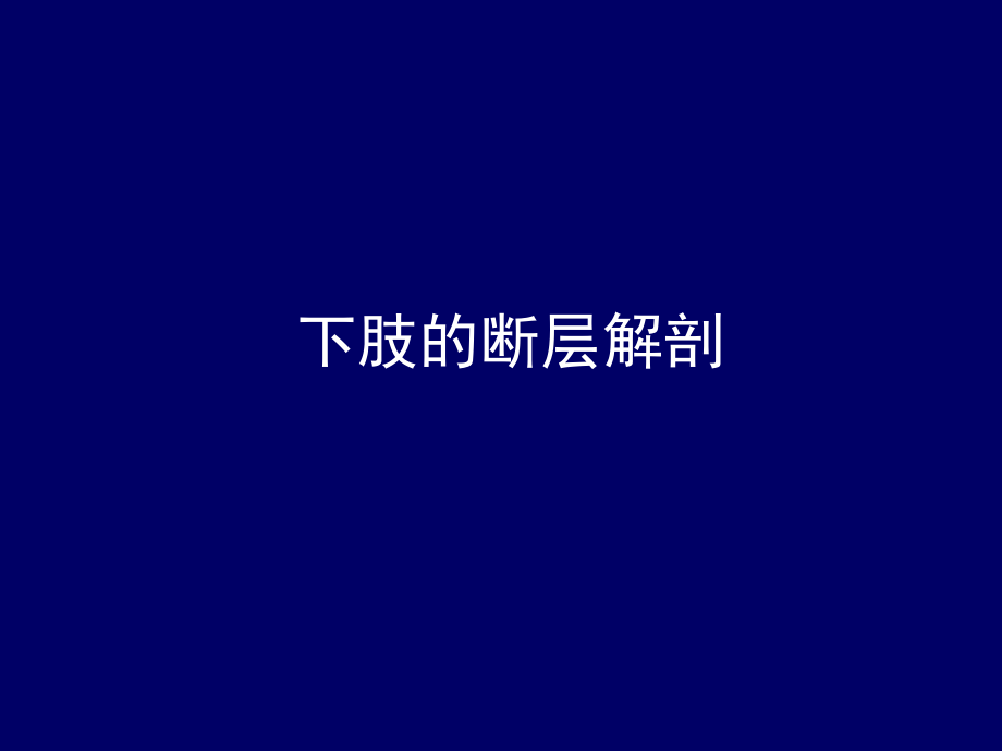 下肢的断层解剖-人体断层解剖学.ppt_第1页