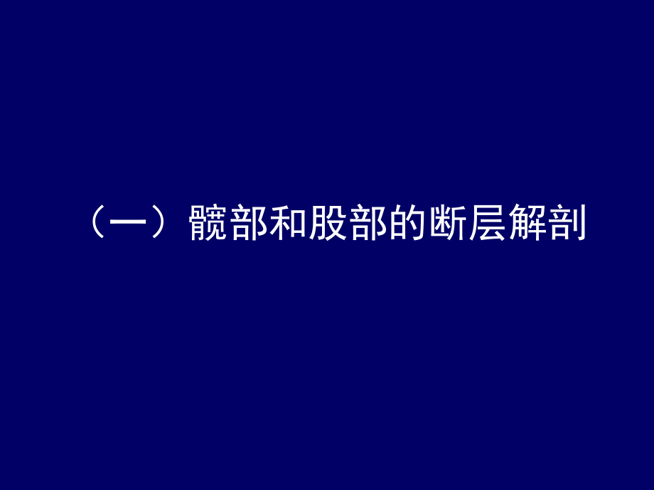 下肢的断层解剖-人体断层解剖学.ppt_第2页