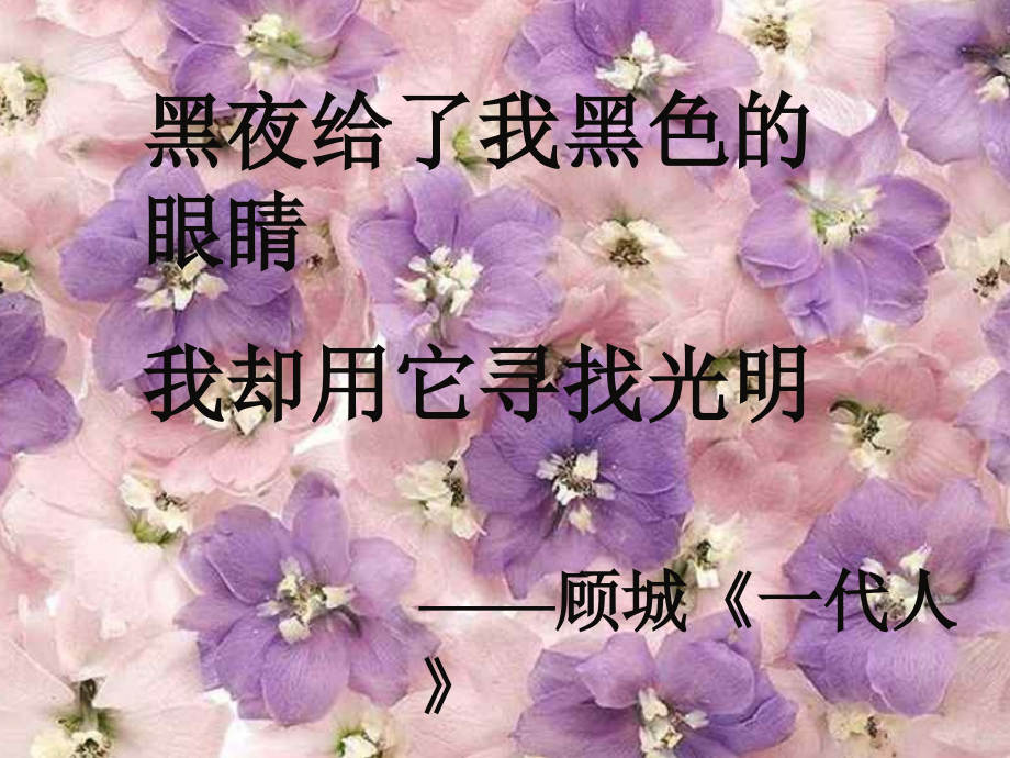 初一语文盲孩子和他的影子3[人教版].ppt_第1页