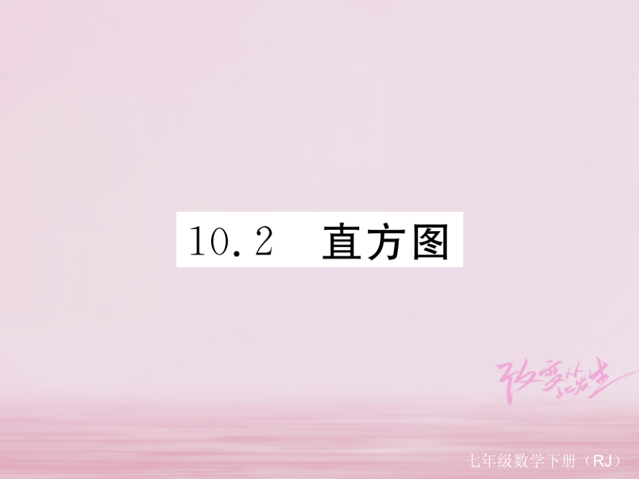 七年级数学下册第10章数据的收集、整理与描述102直方图练习.ppt_第1页
