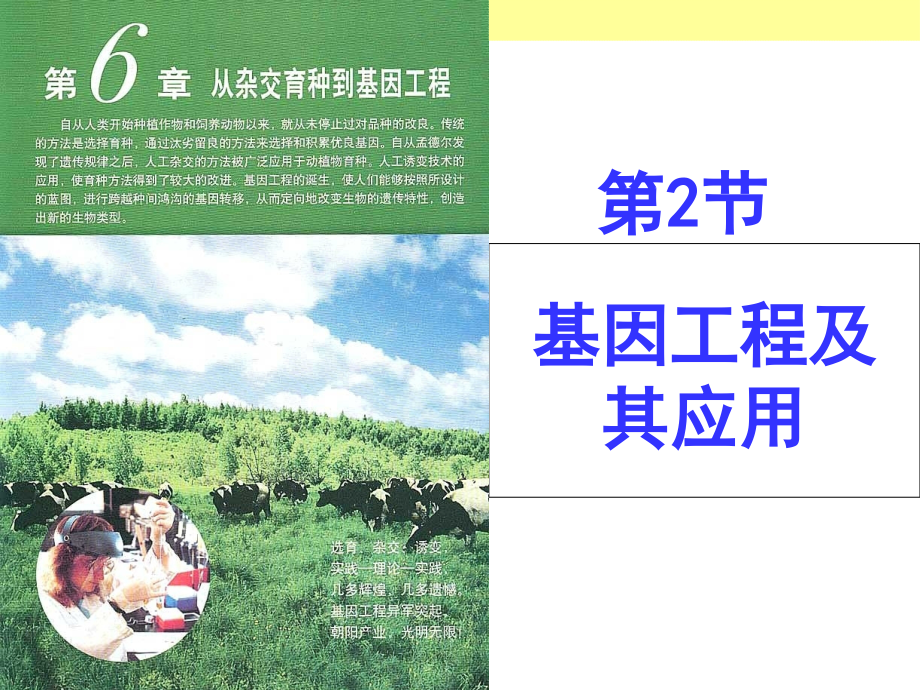 6.2基因工程及其应用.ppt_第1页