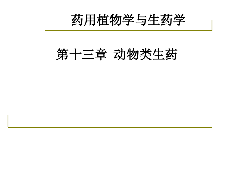 药用植物学与生药学3031动物类生药.ppt_第1页