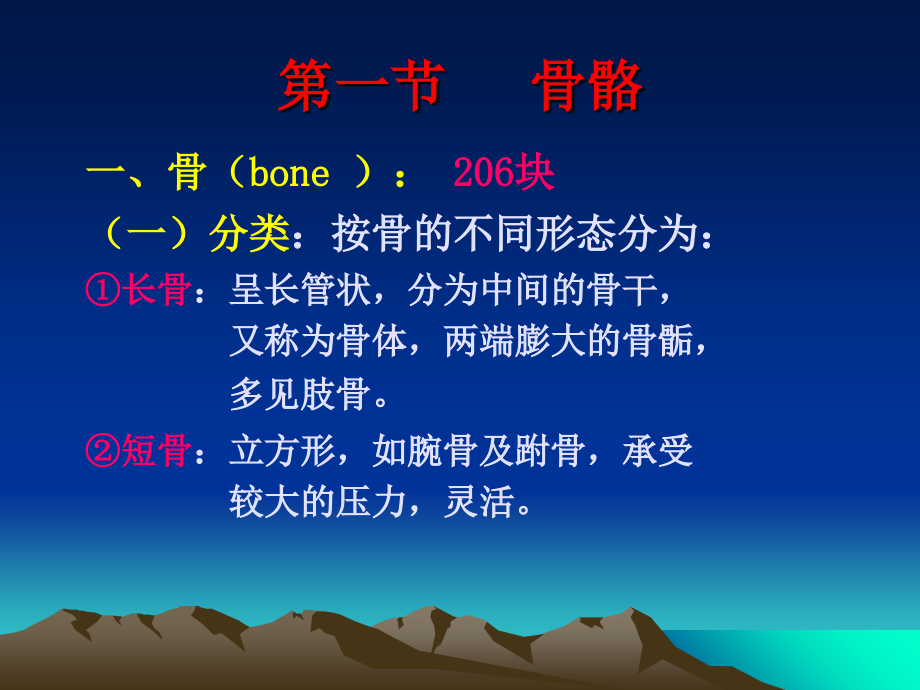 第二章----运动系统.ppt_第2页