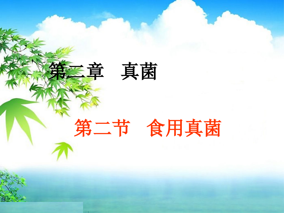 微生物-第二章-食用真菌.ppt_第1页